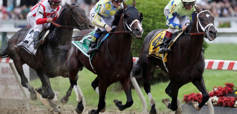 Interesting Facts About The Most Famous Race Horses The World Has Seen