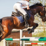 A young woman horse rider jumping an obstacle, illustrating the role of core strength and stability in riding.