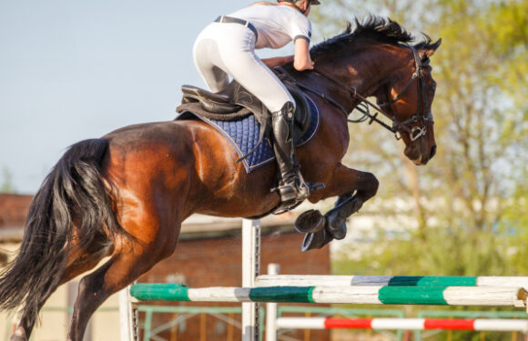 Enhancing Core Strength for Competitive Riding