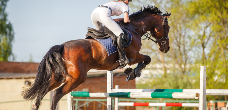 Enhancing Core Strength for Competitive Riding